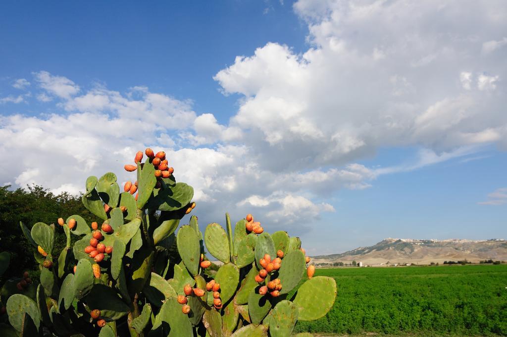 L'Orto Di Lucania Montescaglioso Ruang foto